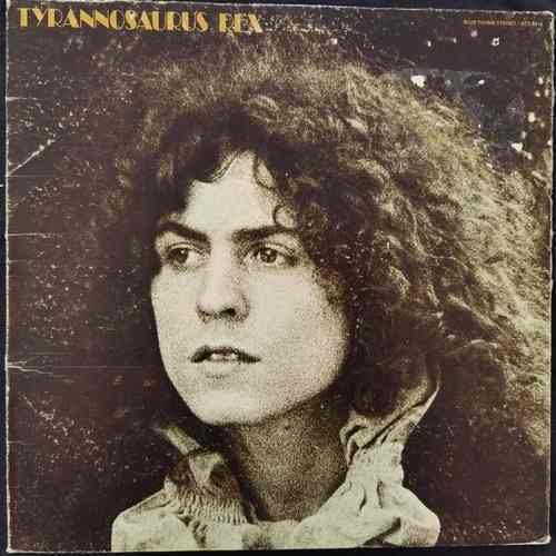 Tyrannosaurus Rex ‎– A Beard Of Stars