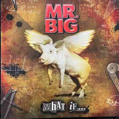 Mr. Big – What If...