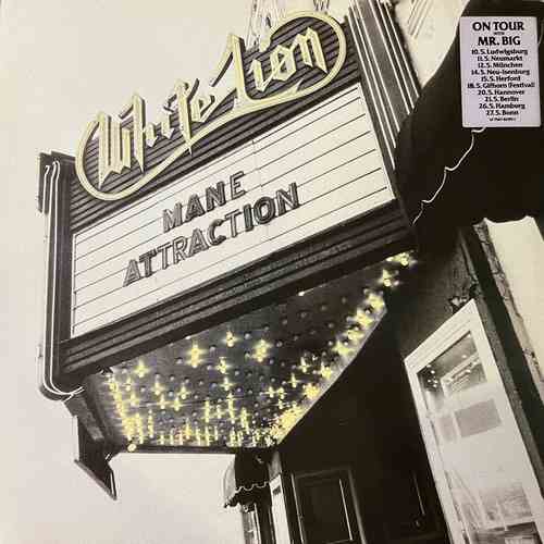 White Lion – Mane Attraction